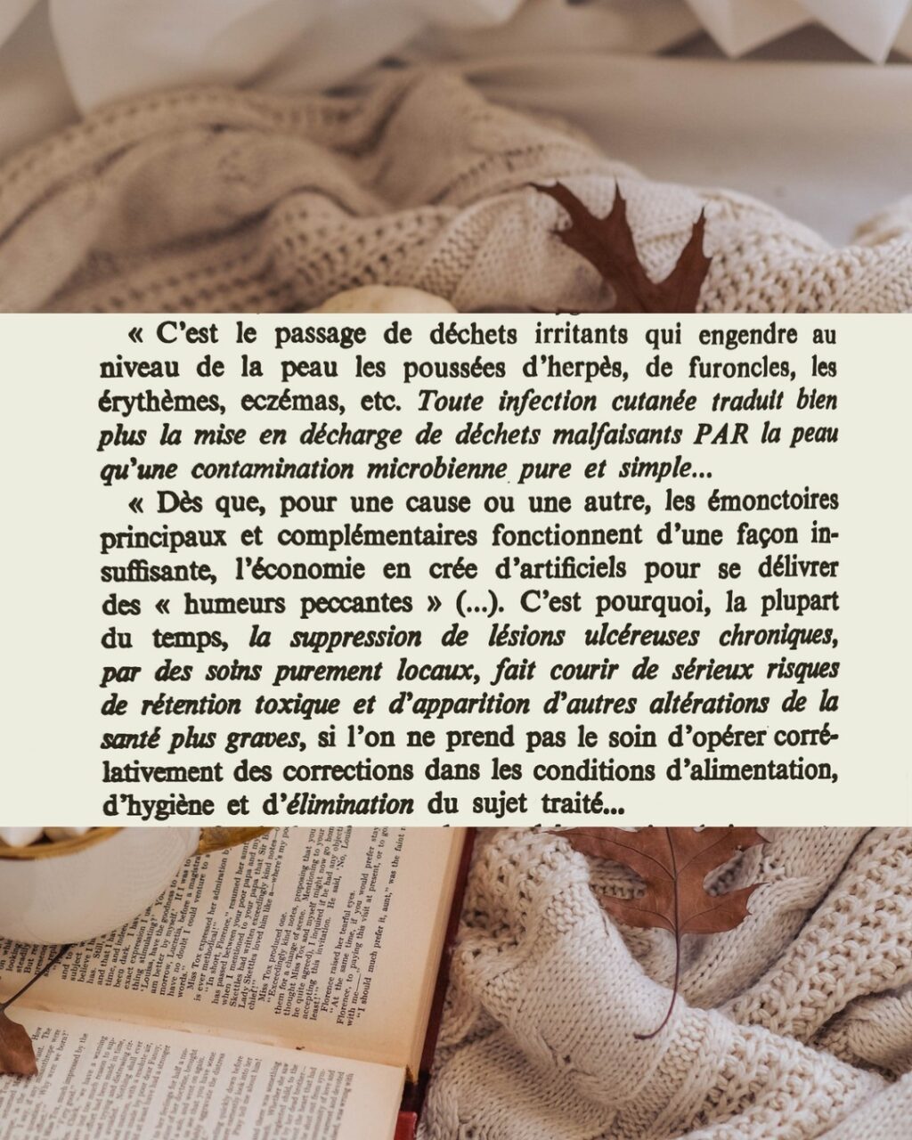 Instagram post from essenciae.naturo. This post is in position 6.